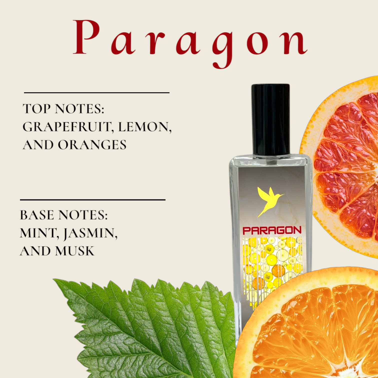 Paragon - Image 2